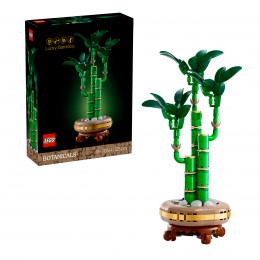 LEGO BOTANICALS LUCKY...