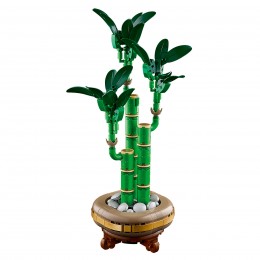 LEGO BOTANICALS LUCKY... 2
