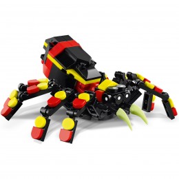 WILDLIFE: MYSTERIOUS SPIDER... 2