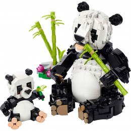 WILDLIFE: PANDAS FAMILY... 2