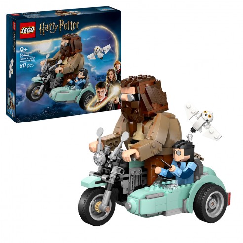 HAGRID AND HARRY´S MOTORCYCLE RIDE...