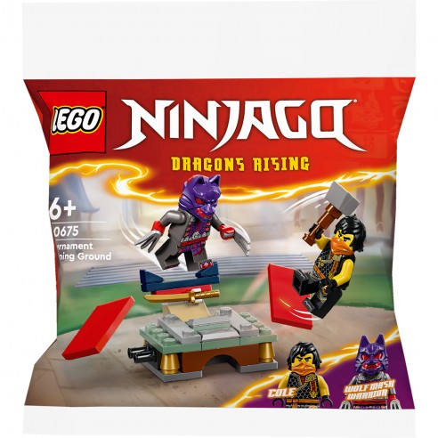 LEGO NINJAGO TOURNAMENT TRAINING CAMP...