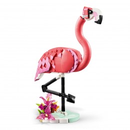 WILDLIFE: PINK FLAMINGO... 2