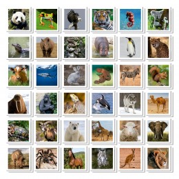 IDENTIC MEMO GAME ANIMALS... 2