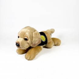 21 CM CANELA LABRADOR PLUSH...