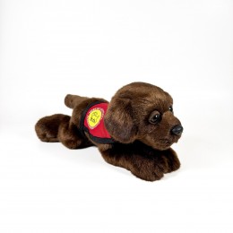21 CM CHOCOLATE LABRADOR... 2