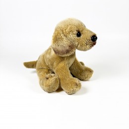 SITTING CANELA LABRADOR... 2