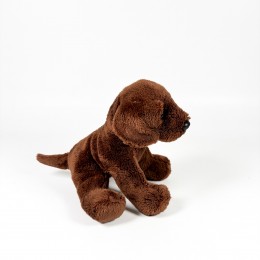 SITTING CHOCOLATE LABRADOR... 2