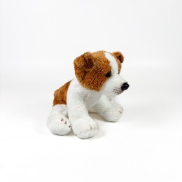 SITTING JACK RUSSELL... 2