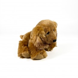 SITTING COCKER SPANIEL... 2