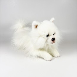 Lying Down Pomeranian Plush... 2