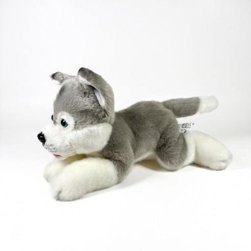 25CM LAYING DOWN HUSKY PLUSH TOY...