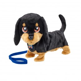 WAGGLES, MY DACHSHUND... 2