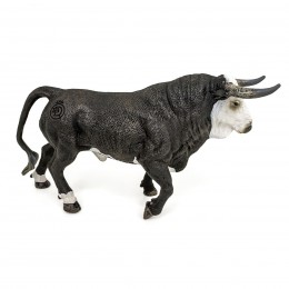 A WHITE-FACED FIGHTING BULL...