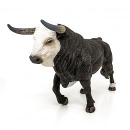 A WHITE-FACED FIGHTING BULL... 2