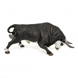 WHITE-FACED FIGHTING BULL...