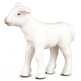 CORDERO -S- 88009 COLLECTA