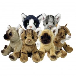ASSORTED 12-CM CAT PLUSH...