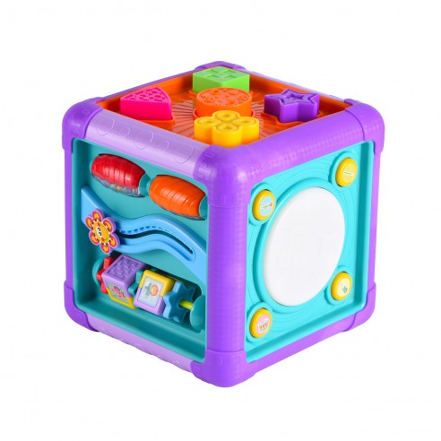 T01008 TACHAN MUSICAL ACTIVITY CUBE
