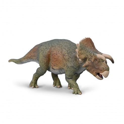 FURCATOCERATOPS -M- 80025 COLLECTION