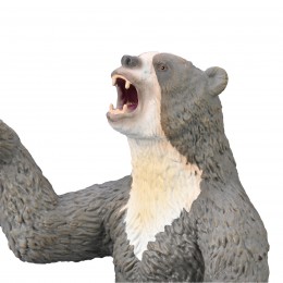 OSO DE CARA CORTA... 2