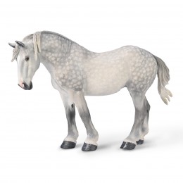 SPOTTED GRAY PERCHERON MARE...