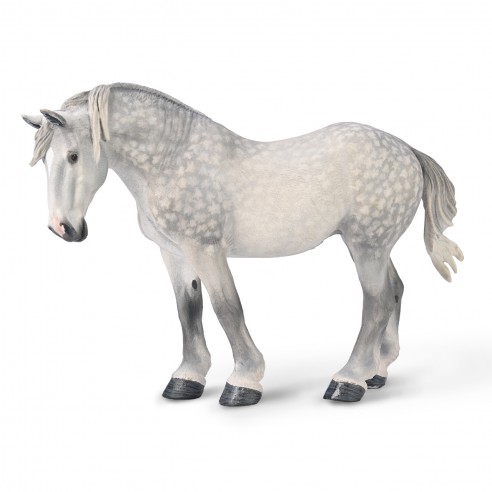 SPOTTED GRAY PERCHERON MARE -XL-...