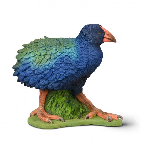 CALAMÓN TAKAHE -M- 80041 COLLECTA