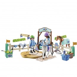 MODERN RIDING SCHOOL 71637... 2