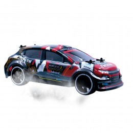 1:16 SCALE EXTREME RALLY... 2
