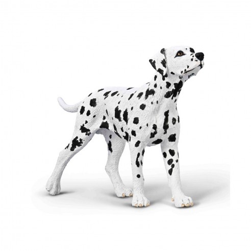 DALMATIAN -M- 80040