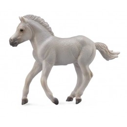 GRAY FJORD FOAL...