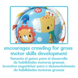 FISHER PRICE: BABY ROLLER 2