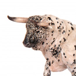 SPANISH BULL - JOGGING... 2