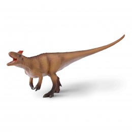 MAIP MACROTHORAX CON...