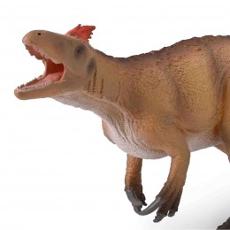 MAIP MACROTHORAX CON... 2