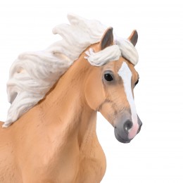 HAFLINGER STALLION... 2