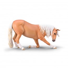 LUSITAN MARE, PALOMINO,...