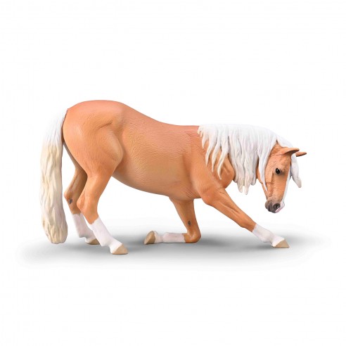 LUSITAN MARE, PALOMINO,...