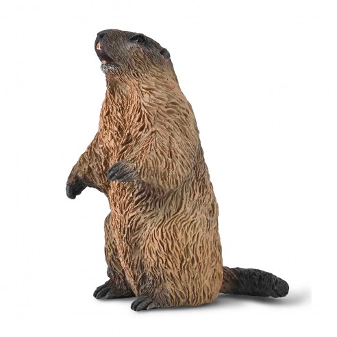 MARMOTA S-80044-COLLECTA