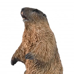 MARMOTA S-80044-COLLECTA 2