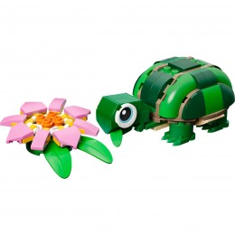 TURTLE WITH WATER LILY... 2