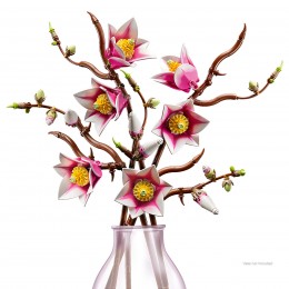 LEGO BOTANICALS MAGNOLIA... 2
