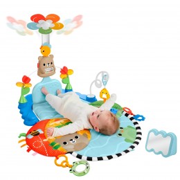 HYR60 FISHER PRICE 3 IN 1... 2