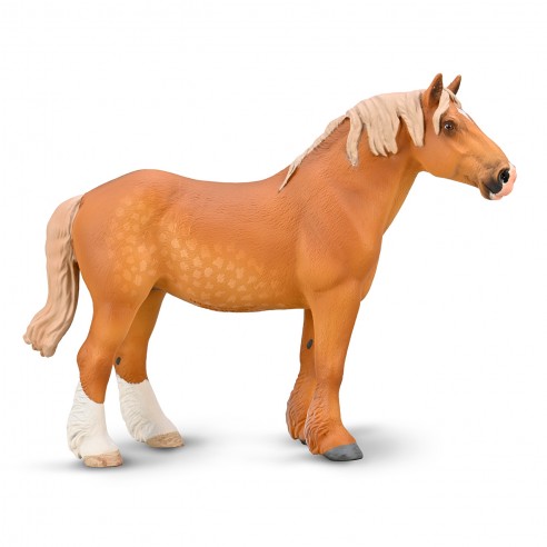YEGUA BELGA ALAZÁN XL-80050-COLLECTA