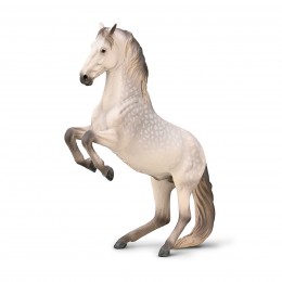 GRAY LIPIZZAN STUD HORSE...
