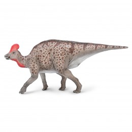 MAGNAPAULIA XL-80055-COLLECTA