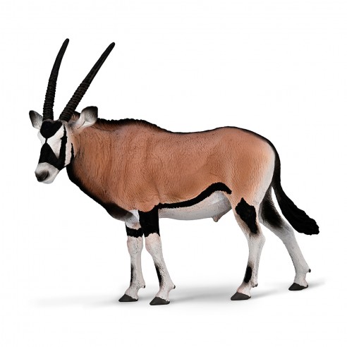 ORIX XL-80056-COLLECTA