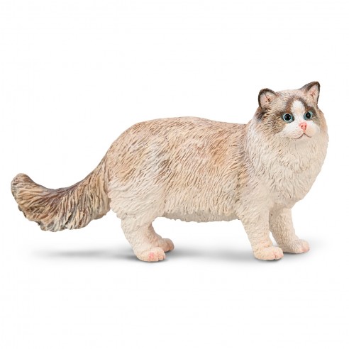 RAGDOLL CAT M-80059-COLLECTA