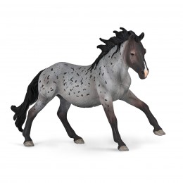 BLUE NOKOTA ROAN STALLION...
